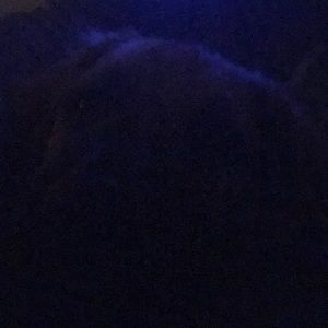 Meet your Posher, Lorraine